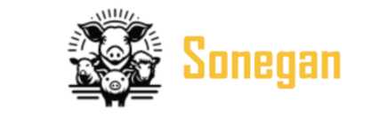 Sonegan